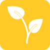 BM Plantation